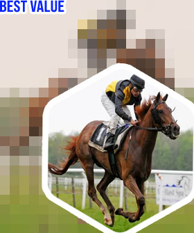 Best racing tipster