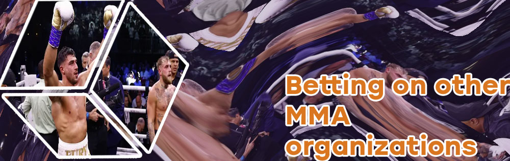 Mma betting app