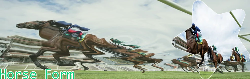 Paddy power betting horse racing